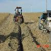 Trenching Pipeline for Livestock