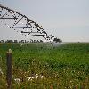 Center Pivot Irrigation in the Irrigation District