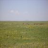 Looking Towards Bear Butte East of Sturgis